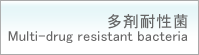 多剤耐性菌