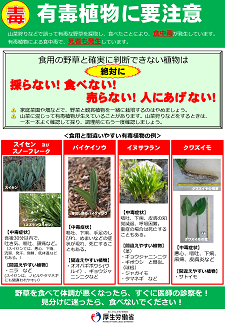 有毒植物に要注意