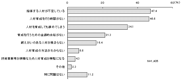 能力開発や人材育成における問題点のグラフ