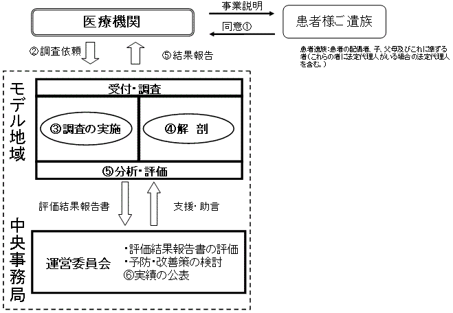 診療行為に関連した死亡の調査分析モデル事業(標準)の図