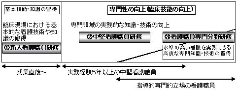 看護職員臨床技能向上推進事業の図