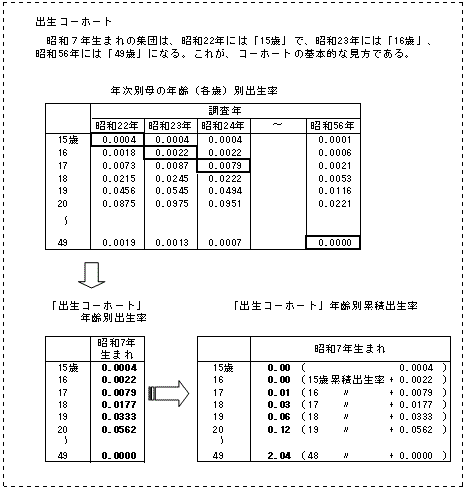 出生コーホート別の分析の図