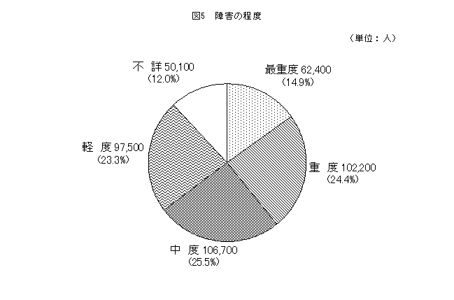 図5障害の程度
